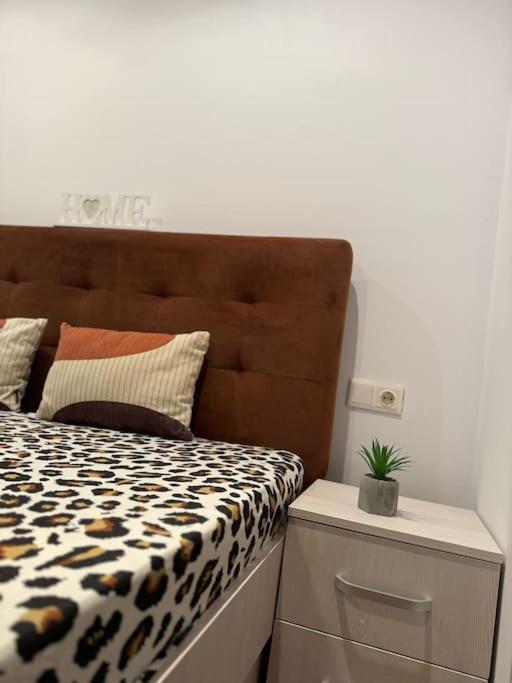 Iazi Apartament Брашов Экстерьер фото