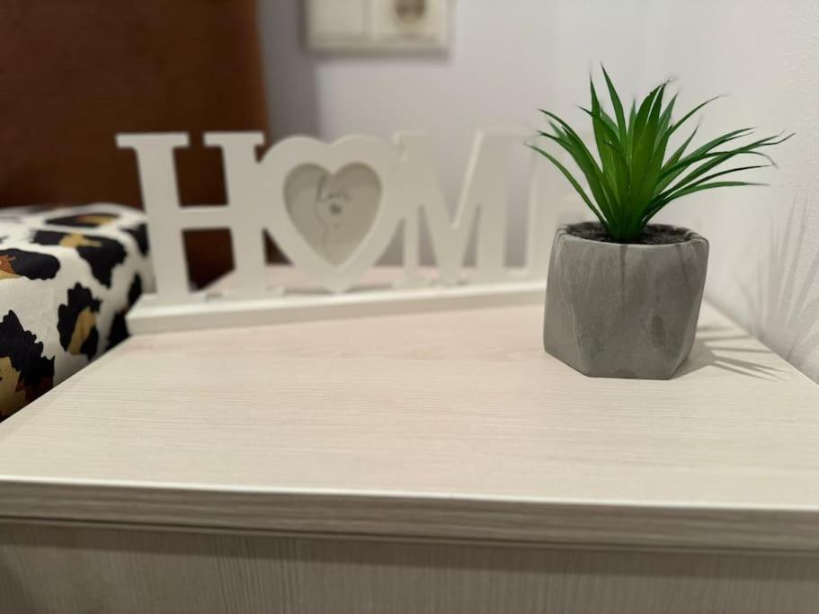 Iazi Apartament Брашов Экстерьер фото